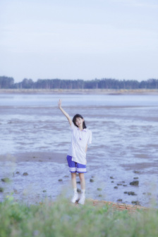 梅花三弄B1H古文